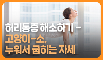 교육과정사진