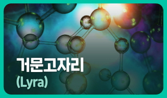 교육과정사진