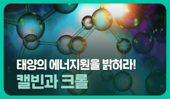 교육과정사진