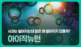교육과정사진