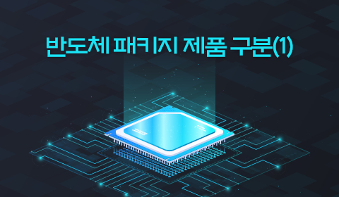 반도체 패키지 제품 구분 (1)