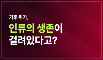 교육과정사진