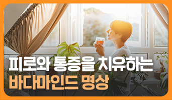 교육과정사진