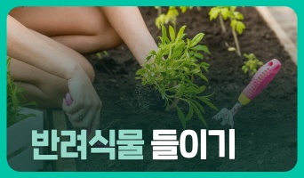 교육과정사진
