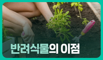 교육과정사진