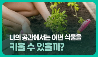 교육과정사진