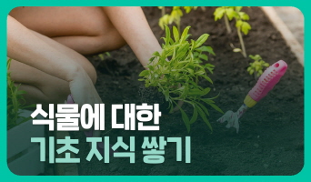 교육과정사진