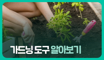 교육과정사진