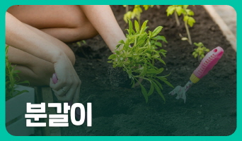교육과정사진
