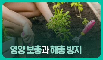 교육과정사진