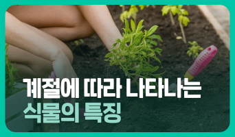 교육과정사진
