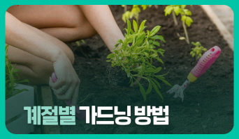 교육과정사진