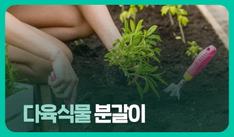교육과정사진