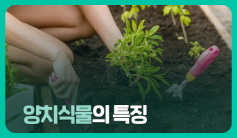 교육과정사진