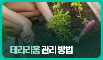 교육과정사진