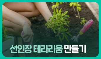교육과정사진