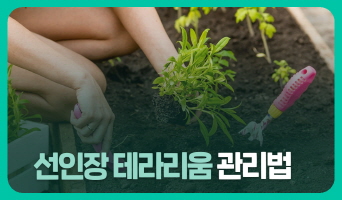 교육과정사진