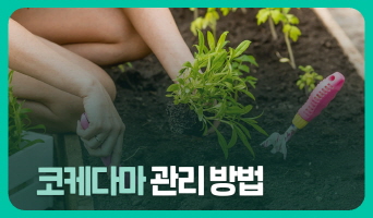 교육과정사진