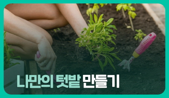 교육과정사진