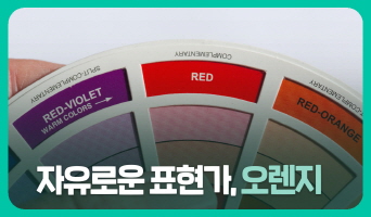 교육과정사진