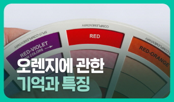 교육과정사진