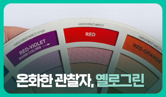 교육과정사진