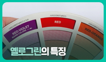교육과정사진