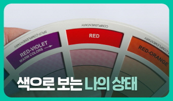 교육과정사진