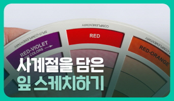 교육과정사진