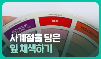 교육과정사진