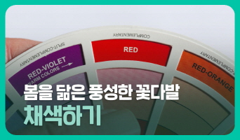 교육과정사진