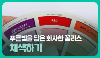 교육과정사진