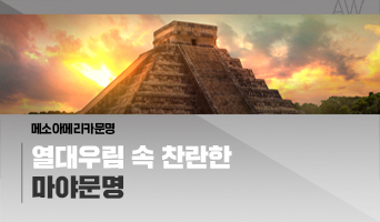 교육과정사진