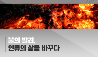 교육과정사진
