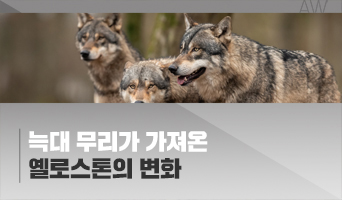 교육과정사진