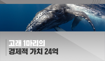 교육과정사진