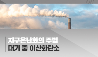 교육과정사진