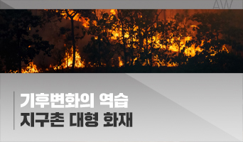 교육과정사진