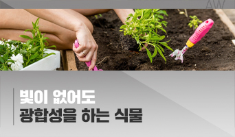 교육과정사진