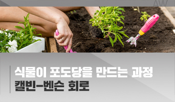 교육과정사진