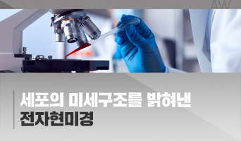 교육과정사진