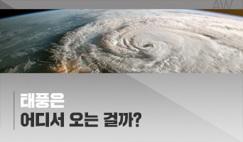 교육과정사진