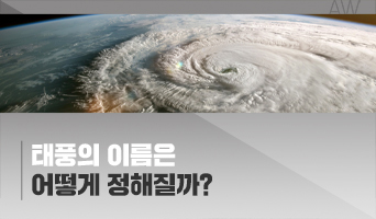 교육과정사진