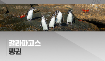 교육과정사진