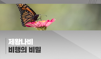 교육과정사진