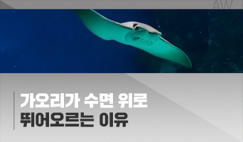 교육과정사진