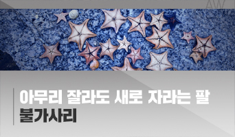교육과정사진