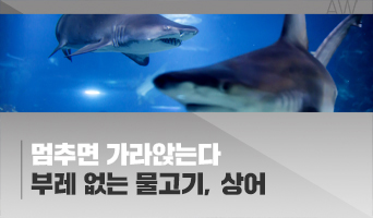 교육과정사진