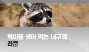 교육과정사진