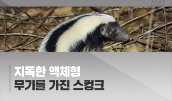 교육과정사진